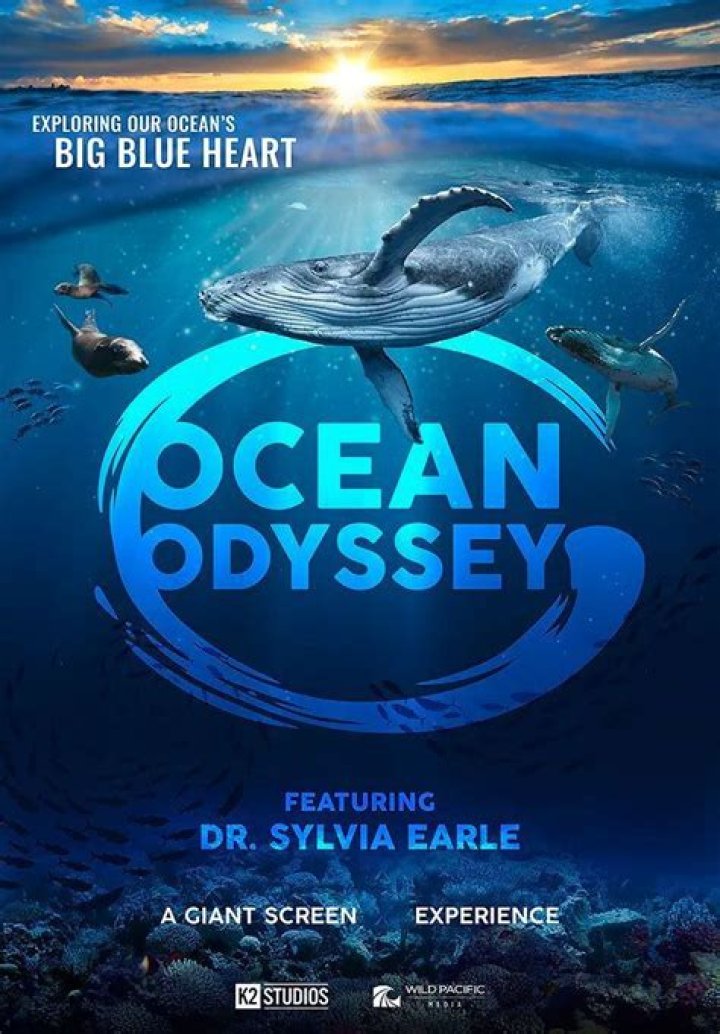Discover The Unseen World Of Ocean Conservation With Denise Becker