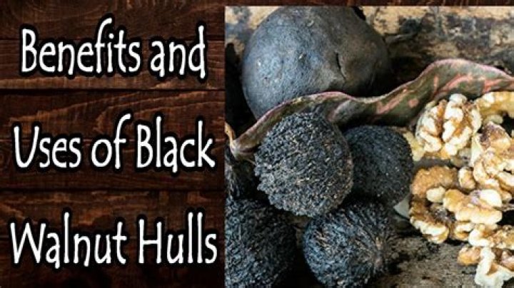 Is black walnut toxic to humans? ·
