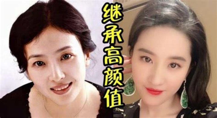 Liu Yifei And Liu Xiaoli