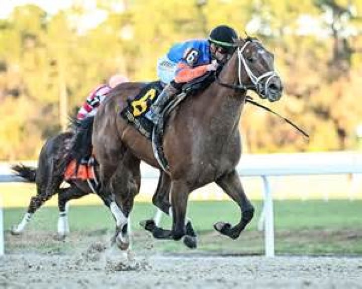 Unveiling The Legacy Of Kelly Pletcher: An Obituary Explored