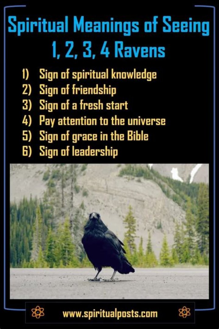 What does seeing 2 ravens mean? ·